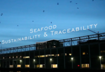 Cas d’applications : blockchains et traçabilité dans les chaînes de valeur des produits de la mer