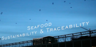 Cas d’applications : blockchains et traçabilité dans les chaînes de valeur des produits de la mer