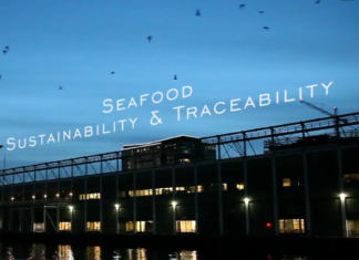 Cas d’applications : blockchains et traçabilité dans les chaînes de valeur des produits de la mer