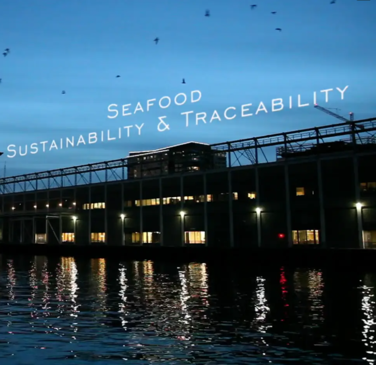 Cas d’applications : blockchains et traçabilité dans les chaînes de valeur des produits de la mer